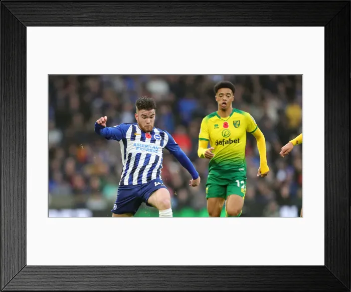 Framed Print : Brighton and Hove Albion vs. Norwich City: Premier League Showdown at American Express Community Stadium (November 2, 2019) Framed Print : Brighton and Hove Albion vs. Norwich City: Premier League Showdown at American Express Community Stadium (November 2, 2019)