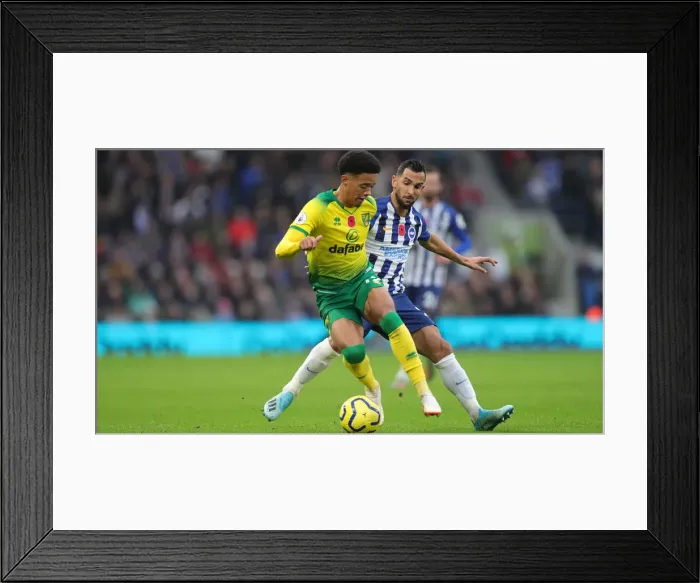 Framed Print : Brighton and Hove Albion vs. Norwich City: Premier League Showdown at American Express Community Stadium (November 2, 2019) Framed Print : Brighton and Hove Albion vs. Norwich City: Premier League Showdown at American Express Community Stadium (November 2, 2019)
