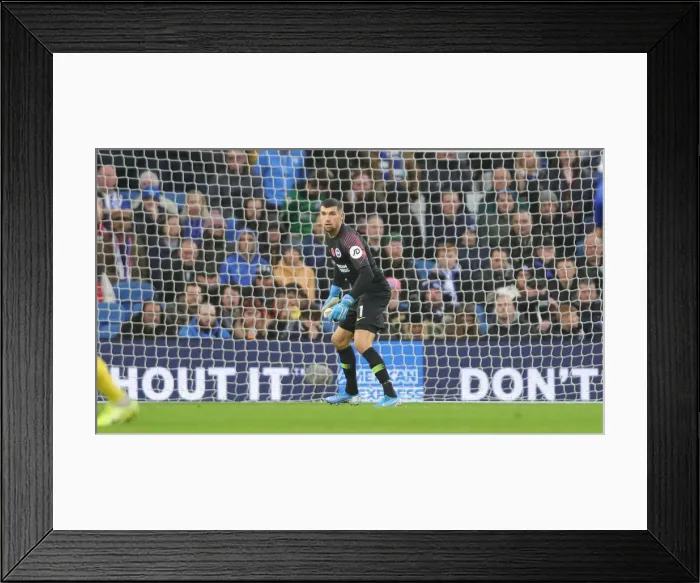 Framed Print : Brighton and Hove Albion vs. Norwich City: Premier League Showdown at American Express Community Stadium (November 2, 2019) Framed Print : Brighton and Hove Albion vs. Norwich City: Premier League Showdown at American Express Community Stadium (November 2, 2019)