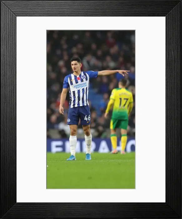 Framed Print : Brighton and Hove Albion vs. Norwich City: Premier League Showdown at American Express Community Stadium (November 2, 2019) Framed Print : Brighton and Hove Albion vs. Norwich City: Premier League Showdown at American Express Community Stadium (November 2, 2019)