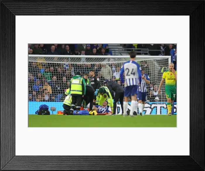 Framed Print : Brighton and Hove Albion vs. Norwich City: Premier League Showdown at American Express Community Stadium (November 2, 2019) Framed Print : Brighton and Hove Albion vs. Norwich City: Premier League Showdown at American Express Community Stadium (November 2, 2019)