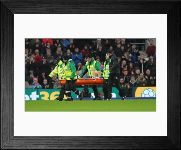 Framed Print : Brighton and Hove Albion vs. Norwich City: Premier League Showdown at American Express Community Stadium (November 2, 2019) Framed Print : Brighton and Hove Albion vs. Norwich City: Premier League Showdown at American Express Community Stadium (November 2, 2019)