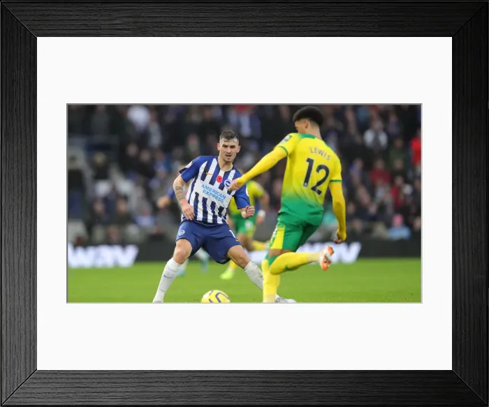 Framed Print : Brighton and Hove Albion vs. Norwich City: Premier League Showdown at American Express Community Stadium (November 2, 2019) Framed Print : Brighton and Hove Albion vs. Norwich City: Premier League Showdown at American Express Community Stadium (November 2, 2019)