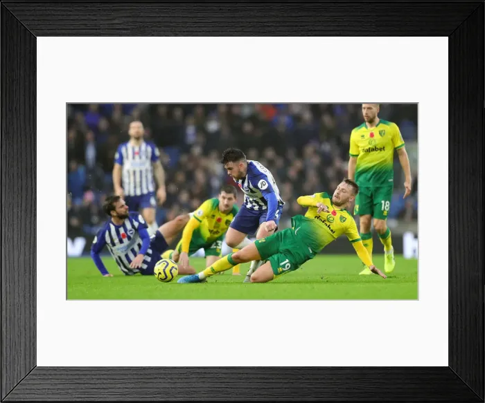 Framed Print : Brighton and Hove Albion vs. Norwich City: Premier League Showdown at American Express Community Stadium (November 2, 2019) Framed Print : Brighton and Hove Albion vs. Norwich City: Premier League Showdown at American Express Community Stadium (November 2, 2019)