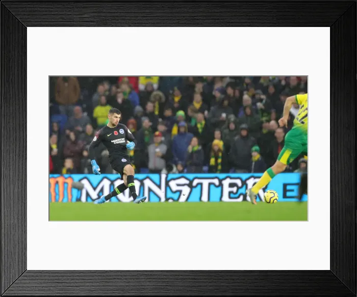 Framed Print : Brighton and Hove Albion vs. Norwich City: Premier League Showdown at American Express Community Stadium (November 2, 2019) Framed Print : Brighton and Hove Albion vs. Norwich City: Premier League Showdown at American Express Community Stadium (November 2, 2019)