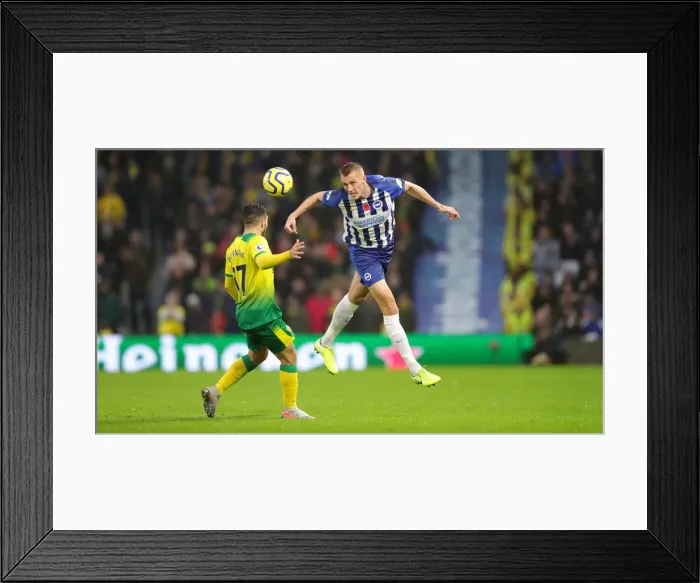 Framed Print : Brighton and Hove Albion vs. Norwich City: Premier League Showdown at American Express Community Stadium (November 2, 2019) Framed Print : Brighton and Hove Albion vs. Norwich City: Premier League Showdown at American Express Community Stadium (November 2, 2019)