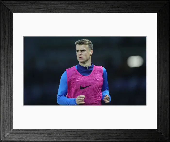 Framed Print : Brighton and Hove Albion vs. Norwich City: Premier League Showdown at American Express Community Stadium (November 2, 2019) Framed Print : Brighton and Hove Albion vs. Norwich City: Premier League Showdown at American Express Community Stadium (November 2, 2019)