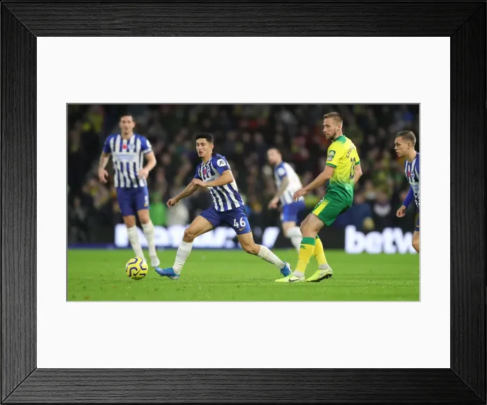 Framed Print : Brighton and Hove Albion vs. Norwich City: Premier League Showdown at American Express Community Stadium (November 2, 2019) Framed Print : Brighton and Hove Albion vs. Norwich City: Premier League Showdown at American Express Community Stadium (November 2, 2019)