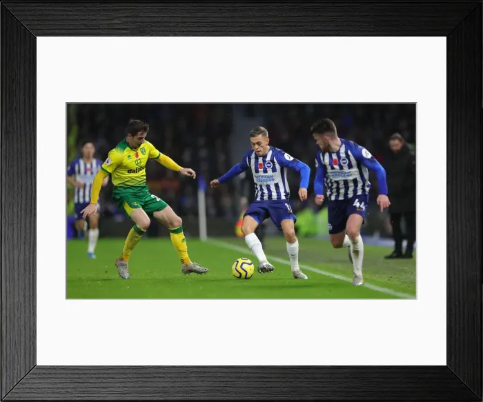 Framed Print : Brighton and Hove Albion vs. Norwich City: Premier League Battle at American Express Community Stadium (November 2, 2019) Framed Print : Brighton and Hove Albion vs. Norwich City: Premier League Battle at American Express Community Stadium (November 2, 2019)