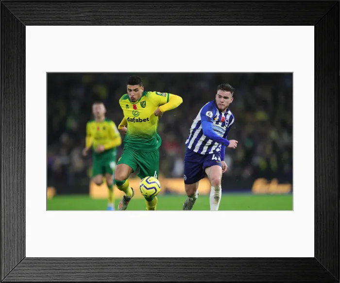 Framed Print : Brighton and Hove Albion vs. Norwich City: Premier League Showdown at American Express Community Stadium (November 2, 2019) Framed Print : Brighton and Hove Albion vs. Norwich City: Premier League Showdown at American Express Community Stadium (November 2, 2019)