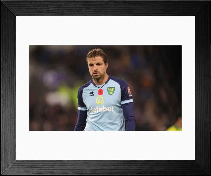 Framed Print : Brighton and Hove Albion vs. Norwich City: Premier League Showdown at American Express Community Stadium (November 2, 2019) Framed Print : Brighton and Hove Albion vs. Norwich City: Premier League Showdown at American Express Community Stadium (November 2, 2019)