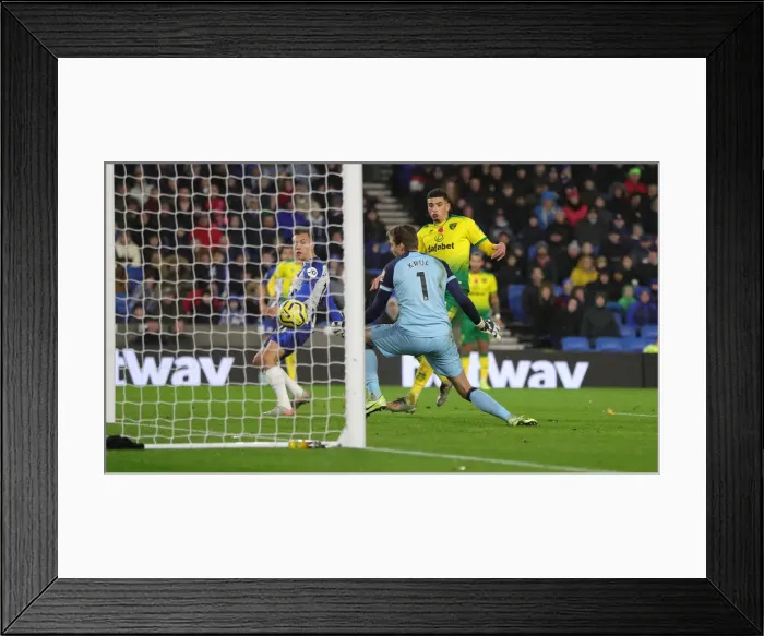 Framed Print : Brighton and Hove Albion vs. Norwich City: Premier League Showdown at American Express Community Stadium (November 2, 2019)