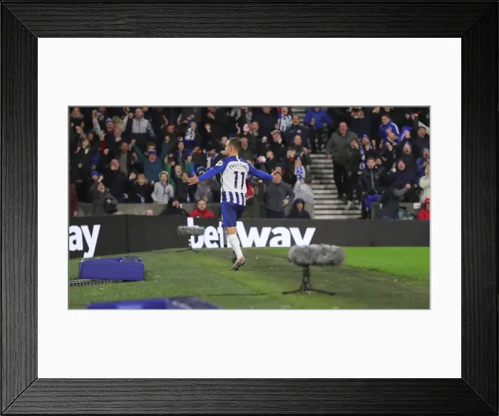 Framed Print : Brighton and Hove Albion vs. Norwich City: Premier League Showdown at American Express Community Stadium (November 2, 2019) Framed Print : Brighton and Hove Albion vs. Norwich City: Premier League Showdown at American Express Community Stadium (November 2, 2019)