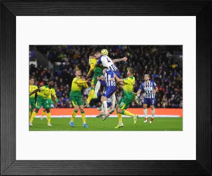 Framed Print : Brighton and Hove Albion vs. Norwich City: Premier League Showdown at American Express Community Stadium (November 2, 2019) Framed Print : Brighton and Hove Albion vs. Norwich City: Premier League Showdown at American Express Community Stadium (November 2, 2019)
