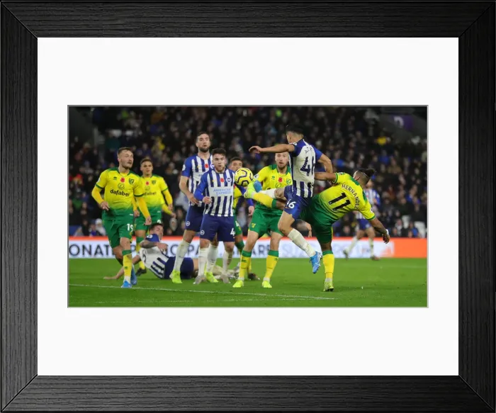 Framed Print : Brighton and Hove Albion vs. Norwich City: Premier League Showdown at American Express Community Stadium (November 2, 2019) Framed Print : Brighton and Hove Albion vs. Norwich City: Premier League Showdown at American Express Community Stadium (November 2, 2019)