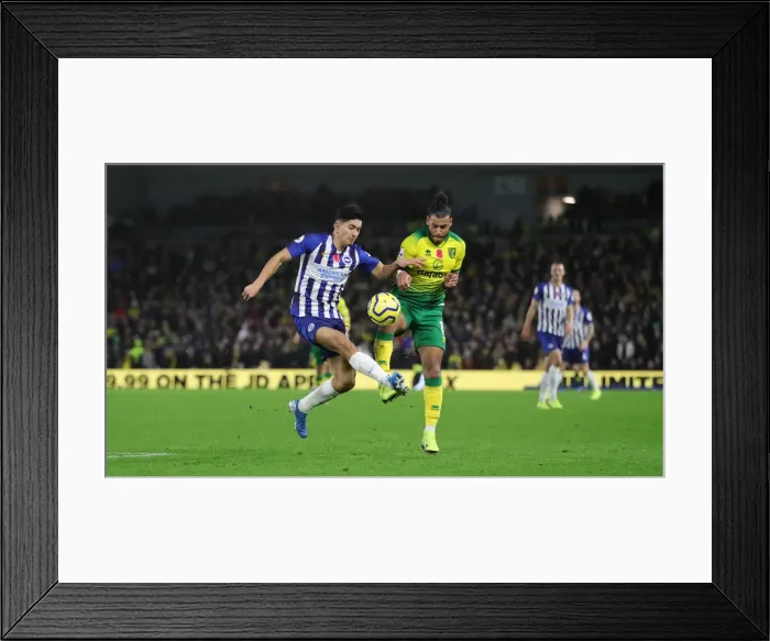 Framed Print : Brighton and Hove Albion vs. Norwich City: Premier League Showdown at American Express Community Stadium (November 2, 2019) Framed Print : Brighton and Hove Albion vs. Norwich City: Premier League Showdown at American Express Community Stadium (November 2, 2019)