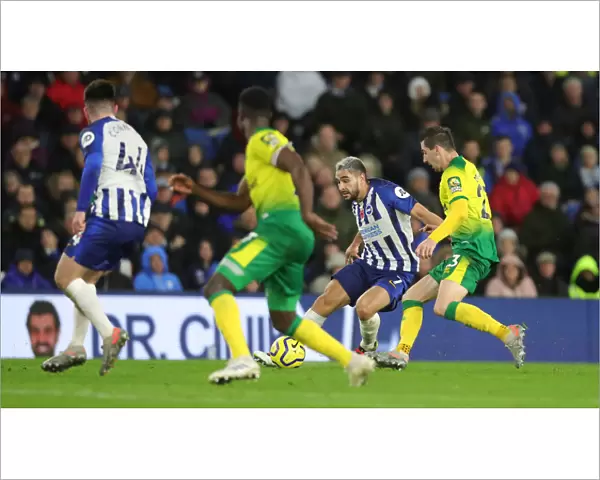 Brighton and Hove Albion vs. Norwich City: Premier League Showdown at American Express Community Stadium (November 2, 2019)