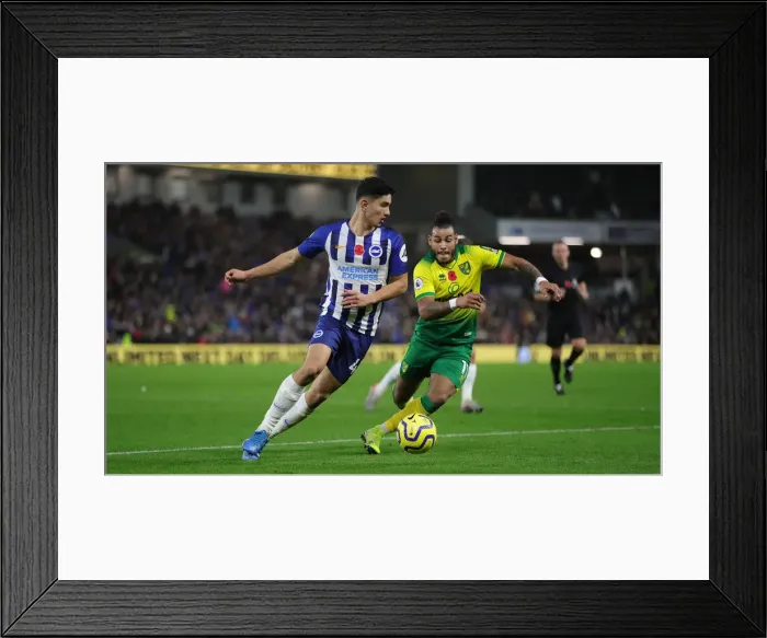 Framed Print : Brighton and Hove Albion vs. Norwich City: Premier League Showdown at American Express Community Stadium (November 2, 2019) Framed Print : Brighton and Hove Albion vs. Norwich City: Premier League Showdown at American Express Community Stadium (November 2, 2019)