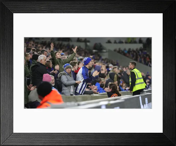 Framed Print : Brighton and Hove Albion vs. Norwich City: Premier League Showdown at American Express Community Stadium (November 2, 2019)