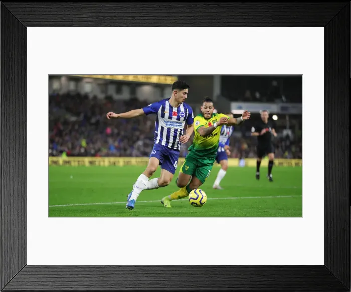Framed Print : Brighton and Hove Albion vs. Norwich City: Premier League Showdown at American Express Community Stadium (November 2, 2019) Framed Print : Brighton and Hove Albion vs. Norwich City: Premier League Showdown at American Express Community Stadium (November 2, 2019)