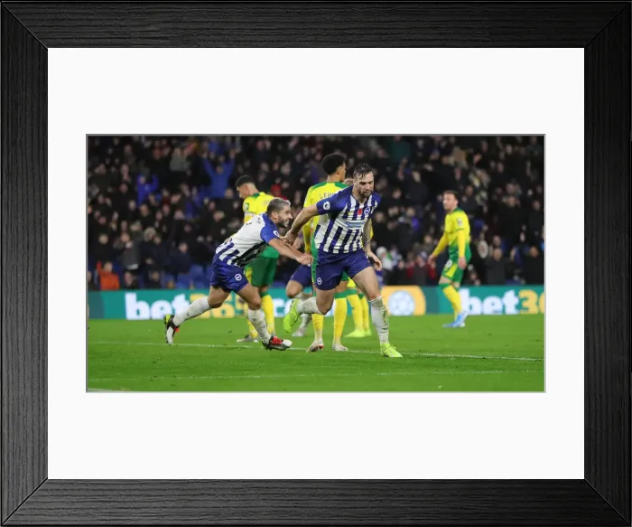 Framed Print : Brighton and Hove Albion vs. Norwich City: Premier League Showdown at American Express Community Stadium (November 2, 2019) Framed Print : Brighton and Hove Albion vs. Norwich City: Premier League Showdown at American Express Community Stadium (November 2, 2019)