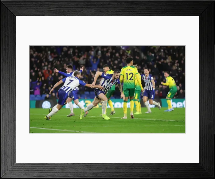 Framed Print : Brighton and Hove Albion vs. Norwich City: Premier League Showdown at American Express Community Stadium (November 2, 2019) Framed Print : Brighton and Hove Albion vs. Norwich City: Premier League Showdown at American Express Community Stadium (November 2, 2019)