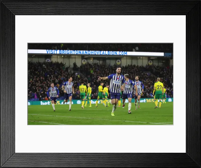 Framed Print : Brighton and Hove Albion vs. Norwich City: Premier League Showdown at American Express Community Stadium (November 2, 2019) Framed Print : Brighton and Hove Albion vs. Norwich City: Premier League Showdown at American Express Community Stadium (November 2, 2019)