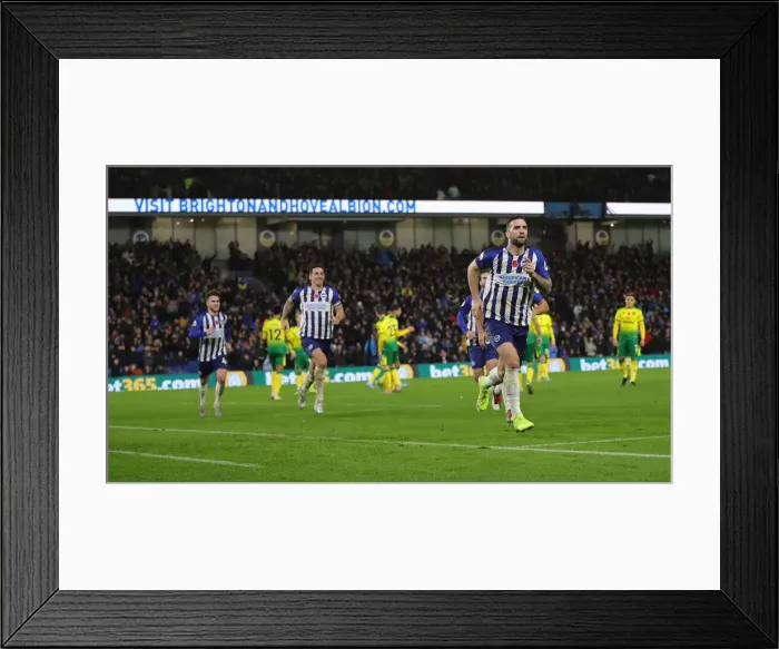 Framed Print : Brighton and Hove Albion vs. Norwich City: Premier League Showdown at American Express Community Stadium (November 2, 2019) Framed Print : Brighton and Hove Albion vs. Norwich City: Premier League Showdown at American Express Community Stadium (November 2, 2019)