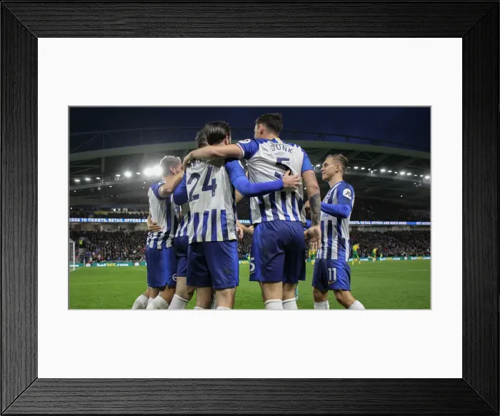 Framed Print : Brighton and Hove Albion vs. Norwich City: Premier League Showdown at American Express Community Stadium (November 2, 2019) Framed Print : Brighton and Hove Albion vs. Norwich City: Premier League Showdown at American Express Community Stadium (November 2, 2019)
