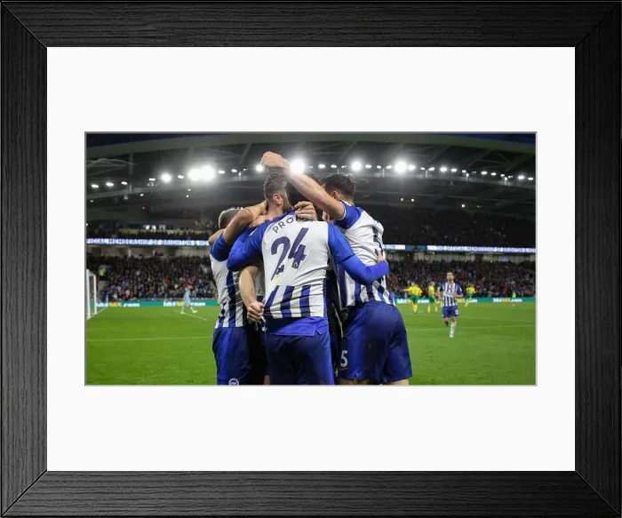 Framed Print : Brighton and Hove Albion vs. Norwich City: Premier League Showdown at American Express Community Stadium (November 2, 2019) Framed Print : Brighton and Hove Albion vs. Norwich City: Premier League Showdown at American Express Community Stadium (November 2, 2019)