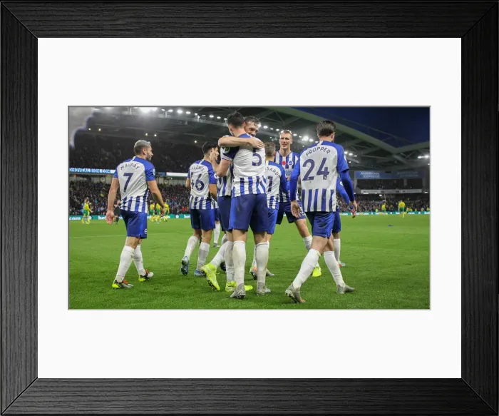 Framed Print : Brighton and Hove Albion vs Norwich City: Premier League Showdown at American Express Community Stadium (November 2, 2019) Framed Print : Brighton and Hove Albion vs Norwich City: Premier League Showdown at American Express Community Stadium (November 2, 2019)