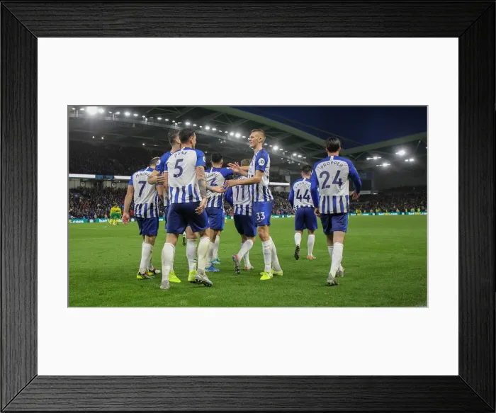 Framed Print : Brighton and Hove Albion vs. Norwich City: Premier League Showdown at American Express Community Stadium (November 2, 2019) Framed Print : Brighton and Hove Albion vs. Norwich City: Premier League Showdown at American Express Community Stadium (November 2, 2019)