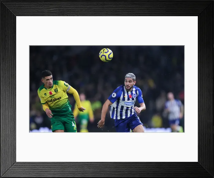 Framed Print : Brighton and Hove Albion vs. Norwich City: Premier League Showdown at American Express Community Stadium (Nov. 2, 2019) Framed Print : Brighton and Hove Albion vs. Norwich City: Premier League Showdown at American Express Community Stadium (Nov. 2, 2019)