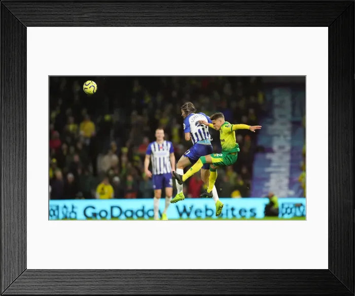Framed Print : Brighton and Hove Albion vs Norwich City: Premier League Showdown at American Express Community Stadium (November 2, 2019) Framed Print : Brighton and Hove Albion vs Norwich City: Premier League Showdown at American Express Community Stadium (November 2, 2019)