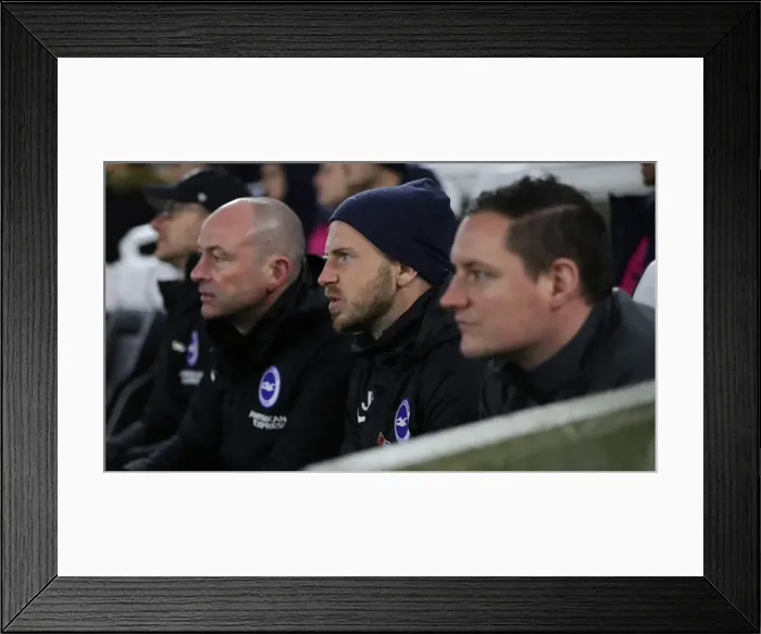 Framed Print : Brighton and Hove Albion vs. Norwich City: Premier League Showdown at American Express Community Stadium (November 2, 2019)