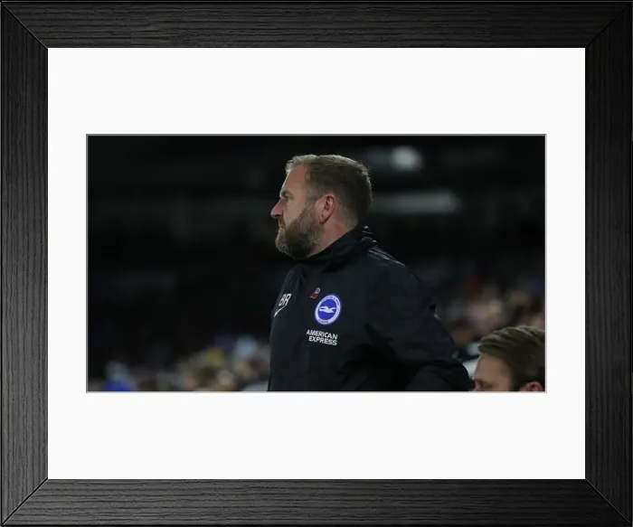 Framed Print : Brighton and Hove Albion vs. Norwich City: Premier League Showdown at American Express Community Stadium (November 2, 2019) Framed Print : Brighton and Hove Albion vs. Norwich City: Premier League Showdown at American Express Community Stadium (November 2, 2019)