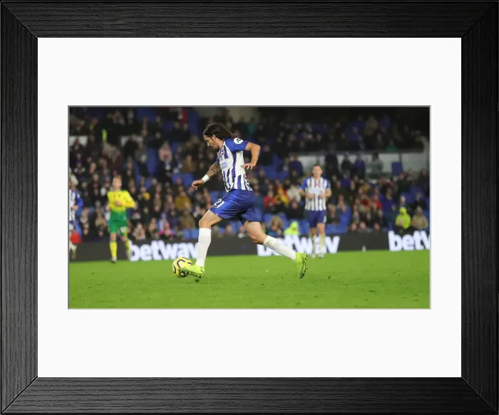 Framed Print : Brighton and Hove Albion vs. Norwich City: Premier League Showdown at American Express Community Stadium (November 2, 2019) Framed Print : Brighton and Hove Albion vs. Norwich City: Premier League Showdown at American Express Community Stadium (November 2, 2019)