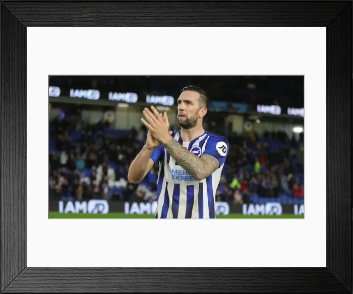 Framed Print : Brighton and Hove Albion vs. Norwich City: Premier League Showdown at American Express Community Stadium (November 2, 2019) Framed Print : Brighton and Hove Albion vs. Norwich City: Premier League Showdown at American Express Community Stadium (November 2, 2019)