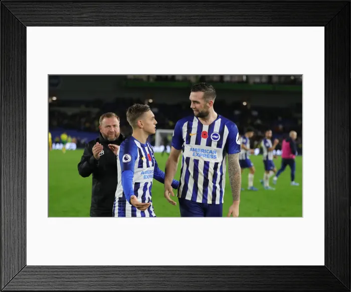 Framed Print : Brighton and Hove Albion vs. Norwich City: Premier League Showdown at American Express Community Stadium (November 2, 2019) Framed Print : Brighton and Hove Albion vs. Norwich City: Premier League Showdown at American Express Community Stadium (November 2, 2019)