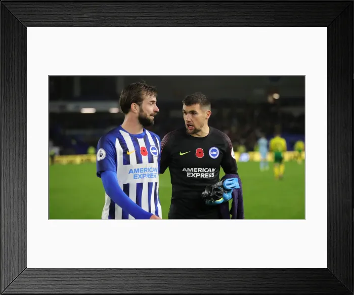 Framed Print : Brighton and Hove Albion vs. Norwich City: Premier League Showdown at American Express Community Stadium (November 2, 2019) Framed Print : Brighton and Hove Albion vs. Norwich City: Premier League Showdown at American Express Community Stadium (November 2, 2019)