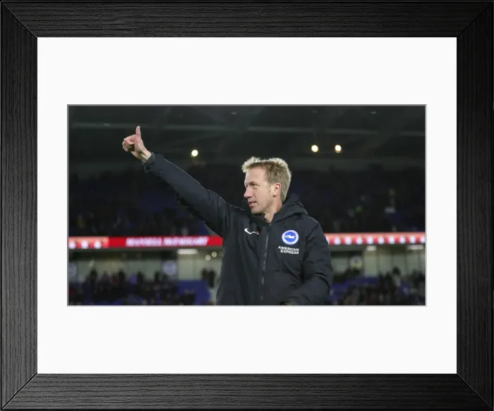Framed Print : Brighton and Hove Albion vs. Norwich City: Premier League Showdown at American Express Community Stadium (November 2, 2019)