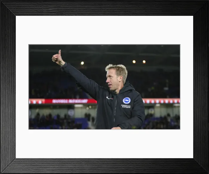 Framed Print : Brighton and Hove Albion vs. Norwich City: Premier League Showdown at American Express Community Stadium - November 2019
