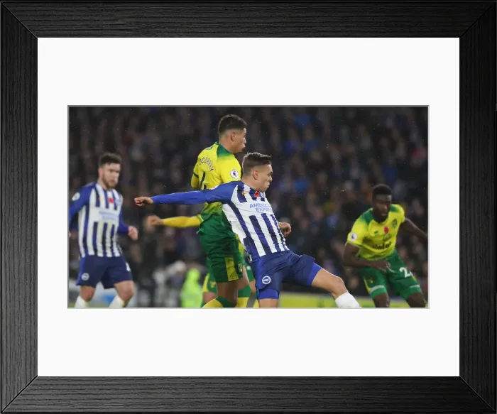 Framed Print : Brighton and Hove Albion vs. Norwich City: Premier League Showdown at American Express Community Stadium (November 2, 2019) Framed Print : Brighton and Hove Albion vs. Norwich City: Premier League Showdown at American Express Community Stadium (November 2, 2019)