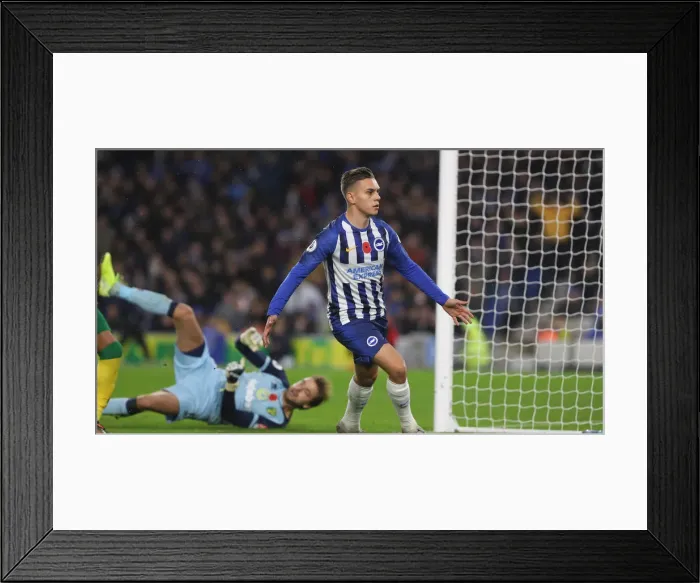 Framed Print : Brighton and Hove Albion vs. Norwich City: Premier League Showdown at American Express Community Stadium (November 2, 2019) Framed Print : Brighton and Hove Albion vs. Norwich City: Premier League Showdown at American Express Community Stadium (November 2, 2019)