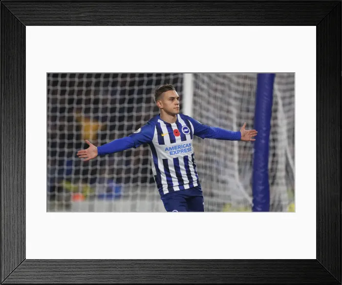 Framed Print : Brighton and Hove Albion vs. Norwich City: Premier League Showdown at American Express Community Stadium (November 2, 2019) Framed Print : Brighton and Hove Albion vs. Norwich City: Premier League Showdown at American Express Community Stadium (November 2, 2019)