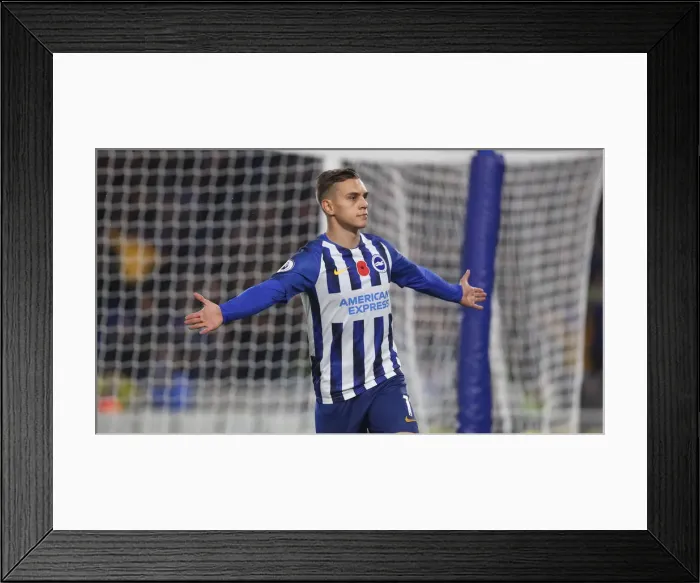 Framed Print : Premier League Showdown: Brighton & Hove Albion vs. Norwich City (November 2, 2019)