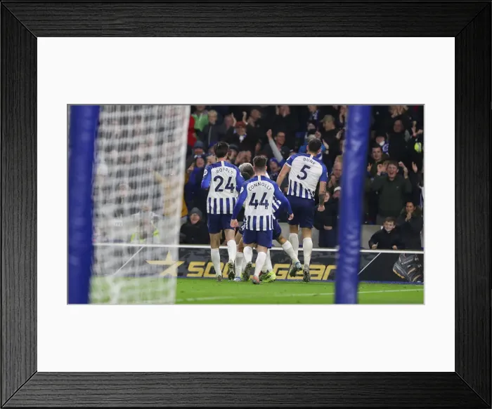 Framed Print : Brighton and Hove Albion vs. Norwich City: Premier League Showdown at American Express Community Stadium (November 2, 2019) Framed Print : Brighton and Hove Albion vs. Norwich City: Premier League Showdown at American Express Community Stadium (November 2, 2019)