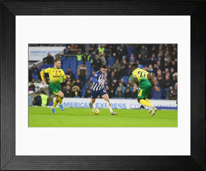 Framed Print : Premier League Showdown: Brighton & Hove Albion vs. Norwich City (November 2, 2019)