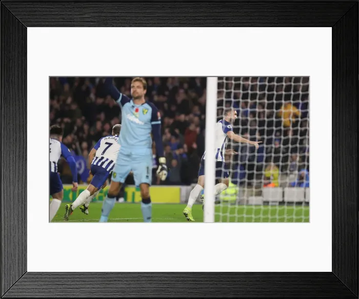 Framed Print : Brighton and Hove Albion vs. Norwich City: Premier League Showdown at American Express Community Stadium (November 2, 2019)