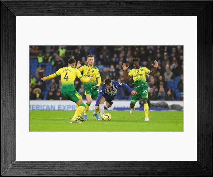 Framed Print : Brighton and Hove Albion vs. Norwich City: Premier League Showdown at American Express Community Stadium (November 2, 2019) Framed Print : Brighton and Hove Albion vs. Norwich City: Premier League Showdown at American Express Community Stadium (November 2, 2019)